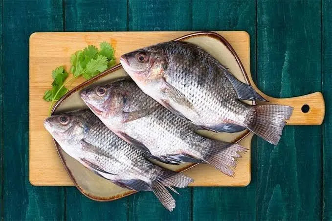 Tilapia Whole - 3-4x Fish 500-800g