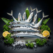 Mackerel - (10x) Bag