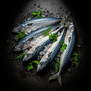 Mackerel - (5x) Bag