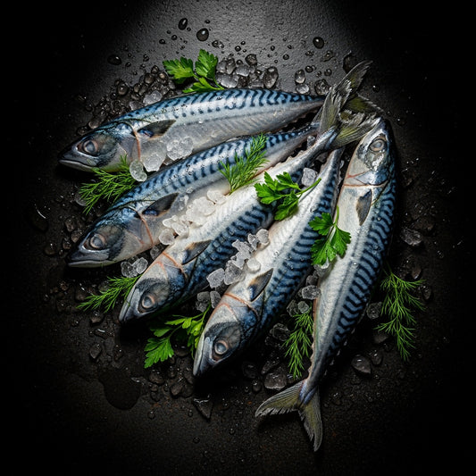 Mackerel - (5x) Bag