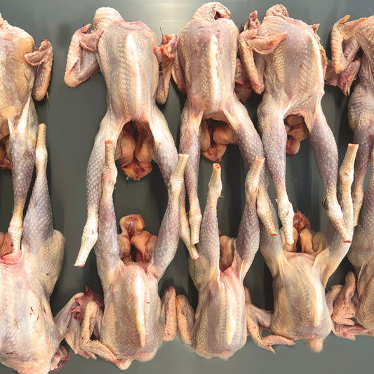 Hard Chicken (Hard body) - Box Of 10 works out £2.99 each Chicken