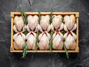 Hard Chicken - 10x Hens