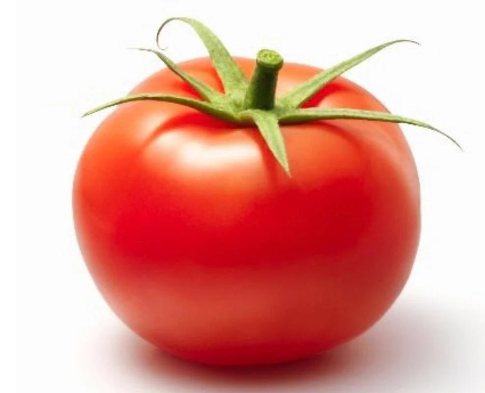 Tomato (x1)