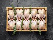 Hard Chicken - 10x Hens