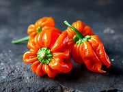 Scotch Bonnet (250g)