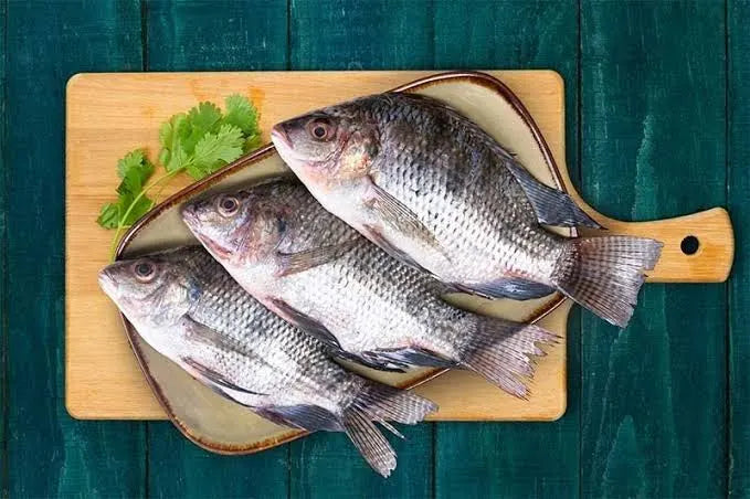 Tilapia Whole - 4-5x Fish 500-800g