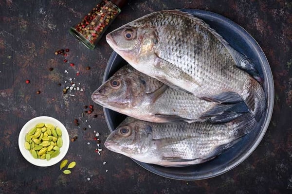 Tilapia Whole - (Box) 500-800g